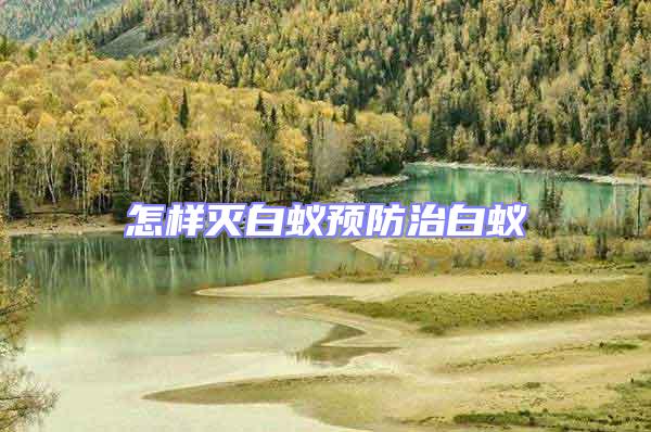 怎樣滅白蟻預防治白蟻