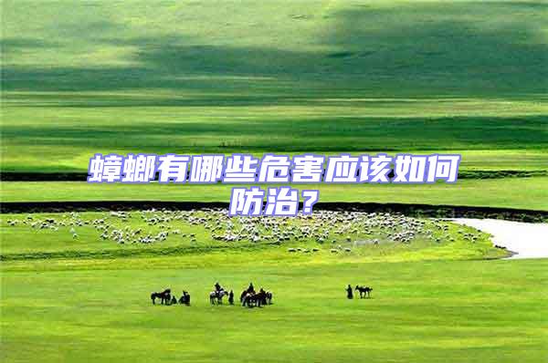蟑螂有哪些危害應該如何防治?