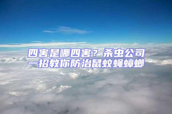 四害是哪四害？殺蟲公司一招教你防治鼠蚊蠅蟑螂