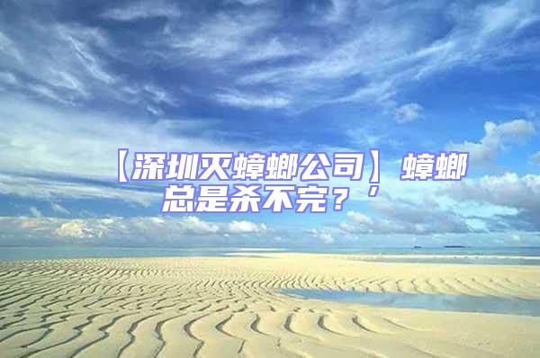 【深圳滅蟑螂公司】蟑螂總是殺不完？’