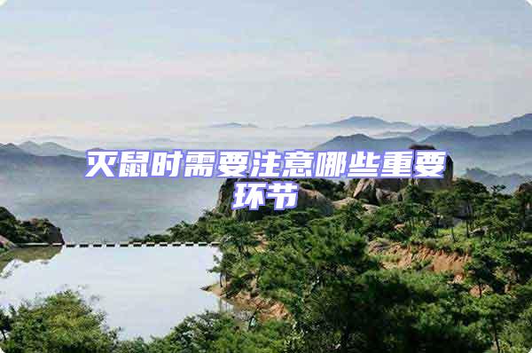 滅鼠時需要注意哪些重要環節
