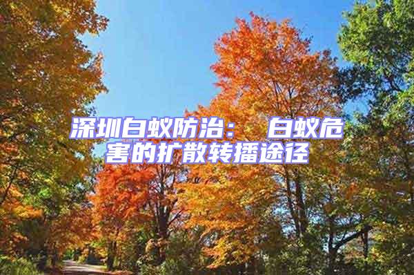 深圳白蟻防治: 白蟻危害的擴散轉播途徑