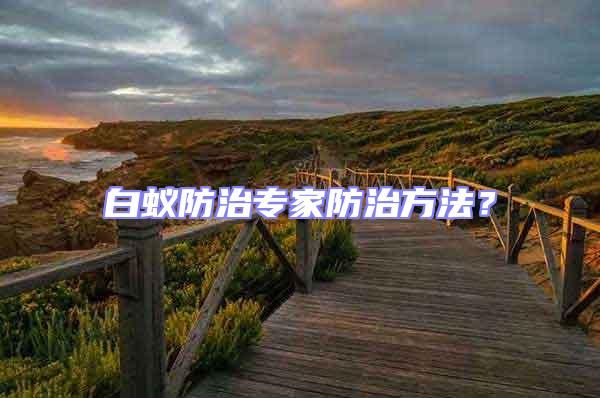 白蟻防治專家防治方法?