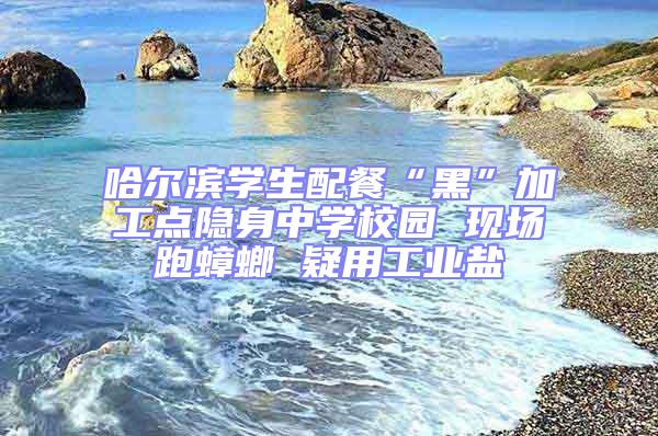哈爾濱學生配餐“黑”加工點隱身中學校園 現(xiàn)場跑蟑螂 疑用工業(yè)鹽