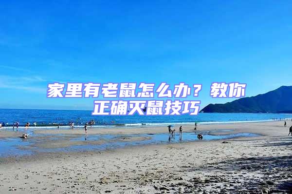 家里有老鼠怎么辦?教你正確滅鼠技巧