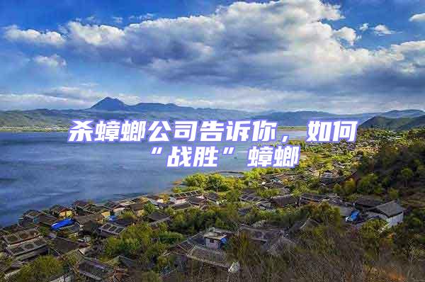 殺蟑螂公司告訴你，如何“戰勝”蟑螂