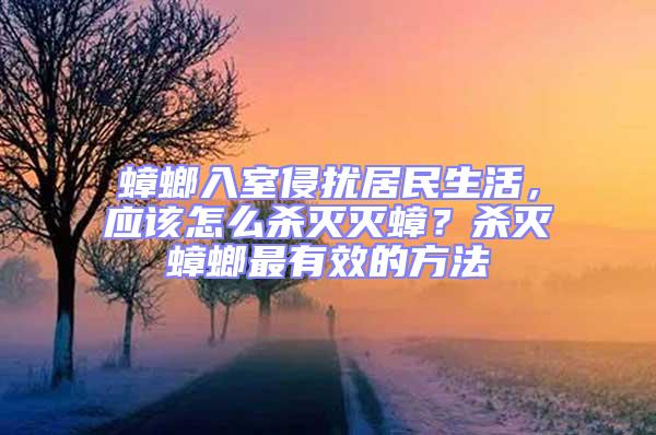 蟑螂入室侵擾居民生活，應該怎么殺滅滅蟑？殺滅蟑螂最有效的方法