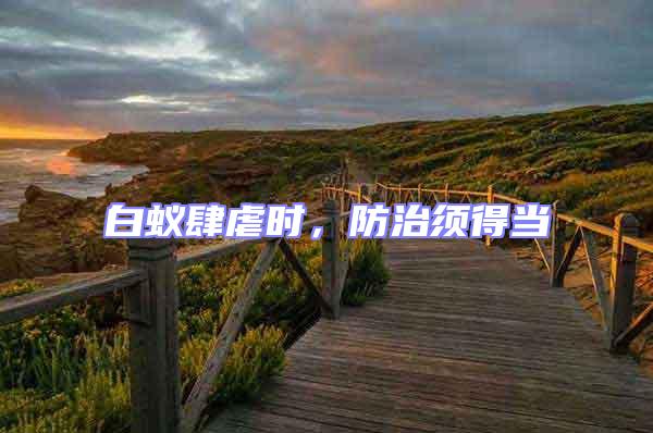 白蟻肆虐時，防治須得當