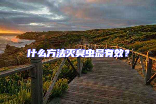 什么方法滅臭蟲最有效?