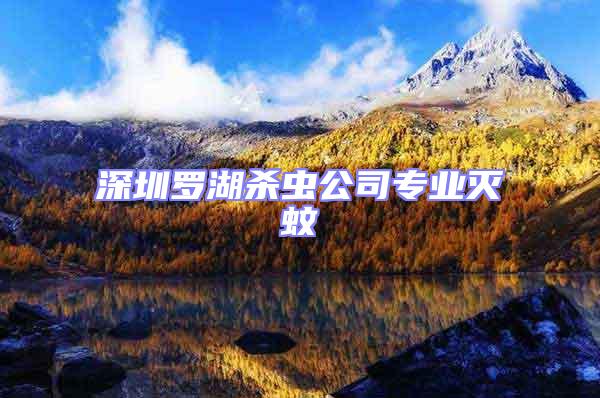 深圳羅湖殺蟲公司專業(yè)滅蚊