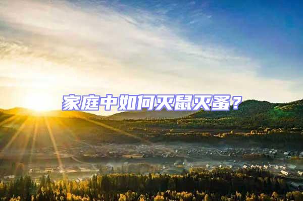 家庭中如何滅鼠滅蚤?