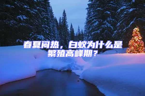 春夏悶熱,白蟻為什么是繁殖高峰期?