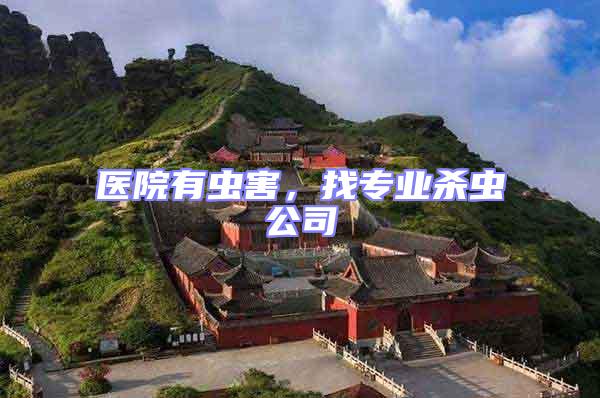 醫院有蟲害,找專業殺蟲公司