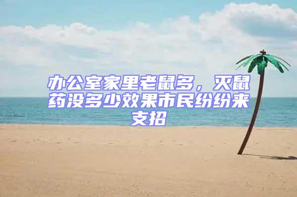 辦公室家里老鼠多,滅鼠藥沒多少效果市民紛紛來支招