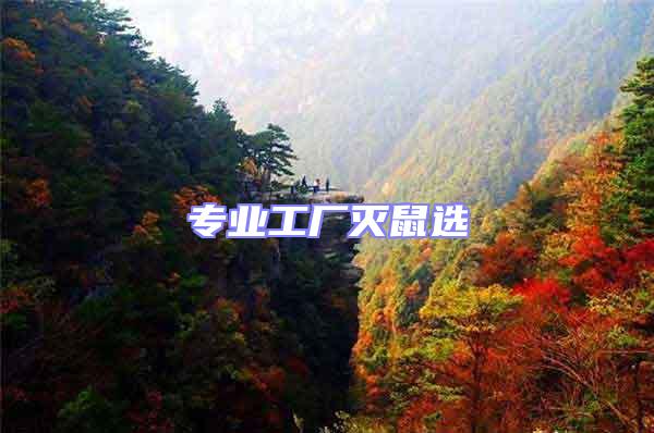 專業工廠滅鼠選