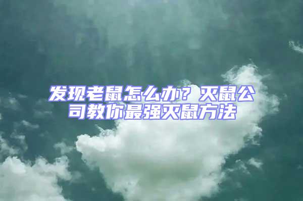 發現老鼠怎么辦?滅鼠公司教你最強滅鼠方法