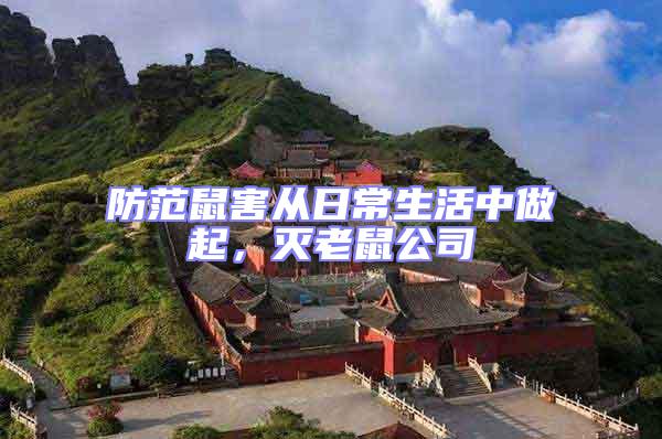 防范鼠害從日常生活中做起,滅老鼠公司