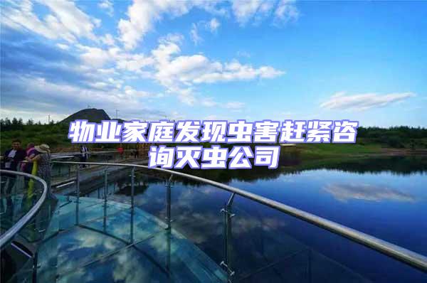 物業(yè)家庭發(fā)現(xiàn)蟲(chóng)害趕緊咨詢(xún)滅蟲(chóng)公司