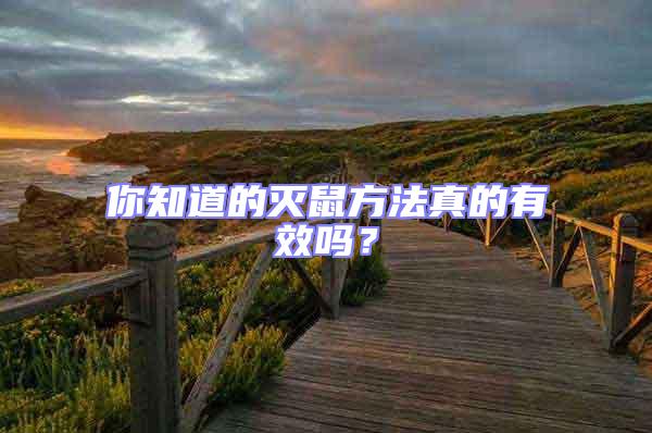 你知道的滅鼠方法真的有效嗎？