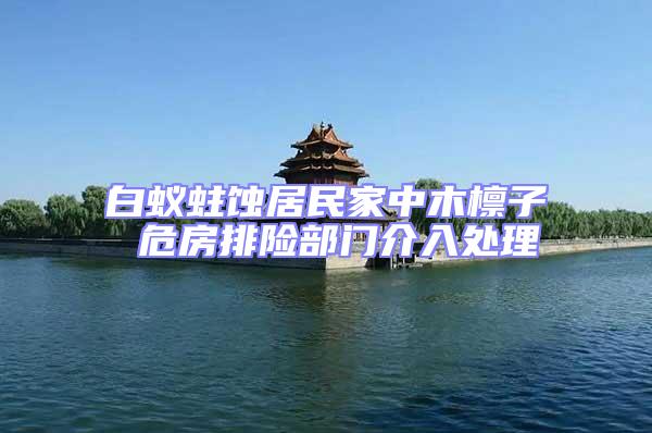 白蟻蛀蝕居民家中木檁子 危房排險(xiǎn)部門介入處理