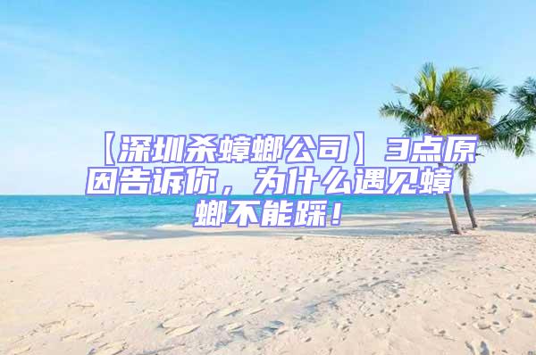 【深圳殺蟑螂公司】3點(diǎn)原因告訴你,為什么遇見(jiàn)蟑螂不能踩!