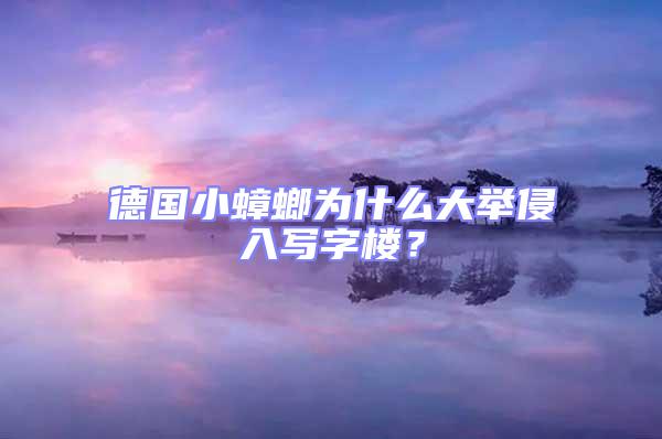 德國小蟑螂為什么大舉侵入寫字樓?