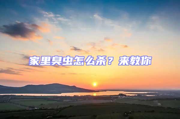 家里臭蟲怎么殺?來教你