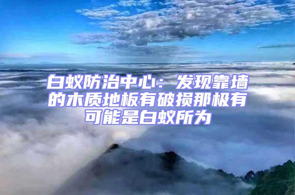 白蟻防治中心:發現靠墻的木質地板有破損那極有可能是白蟻所為