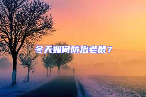 冬天如何防治老鼠?
