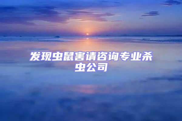 發(fā)現(xiàn)蟲(chóng)鼠害請(qǐng)咨詢專(zhuān)業(yè)殺蟲(chóng)公司