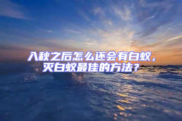 入秋之后怎么還會有白蟻,滅白蟻最佳的方法?