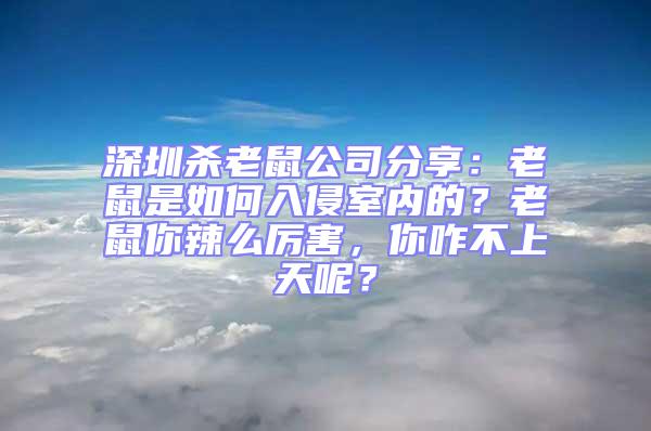 深圳殺老鼠公司分享:老鼠是如何入侵室內的?老鼠你辣么厲害,你咋不上天呢?