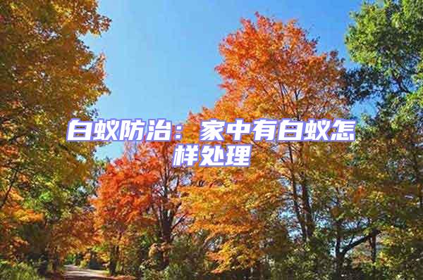白蟻防治:家中有白蟻怎樣處理