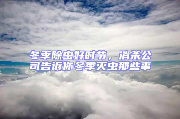 冬季除蟲好時節,消殺公司告訴你冬季滅蟲那些事