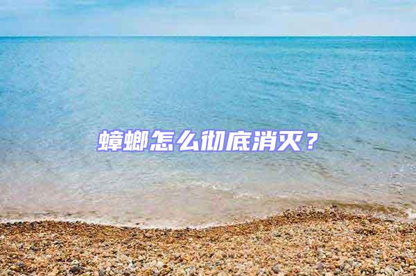 蟑螂怎么徹底消滅?