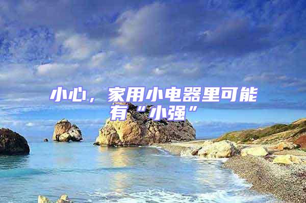 小心,家用小電器里可能有“小強”