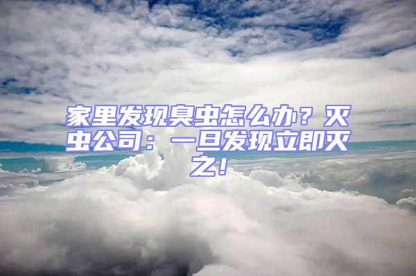 家里發(fā)現(xiàn)臭蟲怎么辦?滅蟲公司:一旦發(fā)現(xiàn)立即滅之!