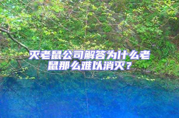 滅老鼠公司解答為什么老鼠那么難以消滅?