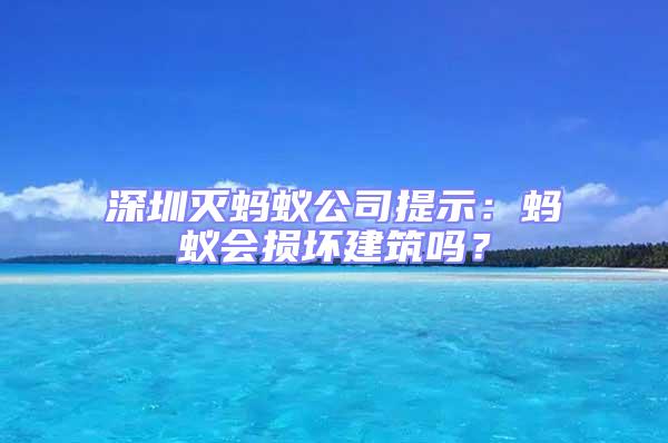 深圳滅螞蟻公司提示:螞蟻會(huì)損壞建筑嗎?