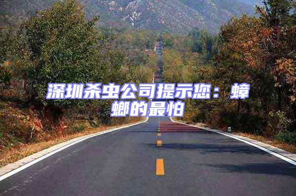 深圳殺蟲公司提示您:蟑螂的最怕