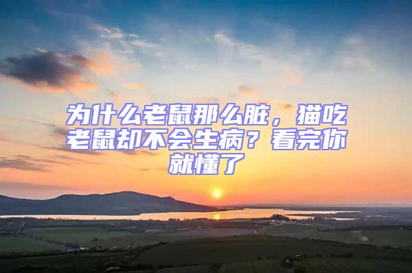 為什么老鼠那么臟,貓吃老鼠卻不會生病?看完你就懂了