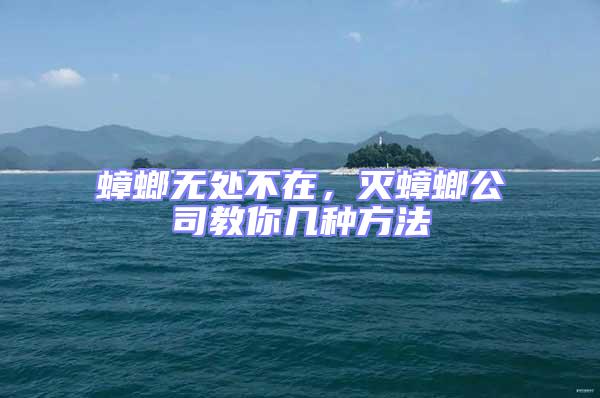 蟑螂無(wú)處不在,滅蟑螂公司教你幾種方法