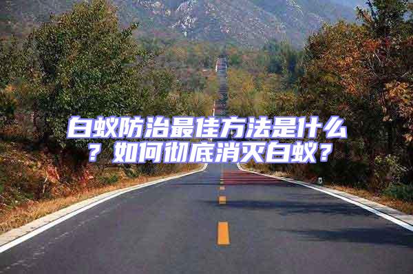白蟻防治最佳方法是什么?如何徹底消滅白蟻?