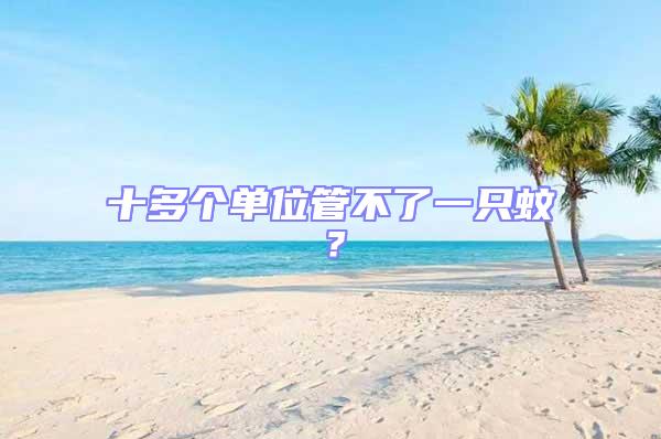 十多個單位管不了一只蚊?