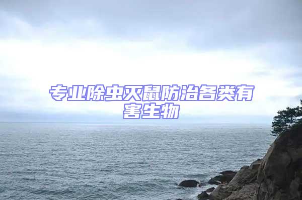 專業(yè)除蟲(chóng)滅鼠防治各類有害生物