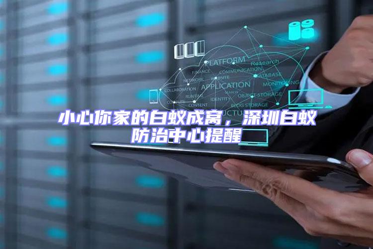 小心你家的白蟻成窩,深圳白蟻防治中心提醒