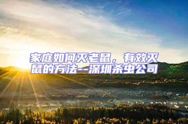 家庭如何滅老鼠,有效滅鼠的方法--深圳殺蟲(chóng)公司