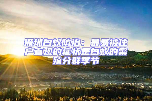深圳白蟻防治:最易被住戶直觀的癥狀是白蟻的繁殖分群季節