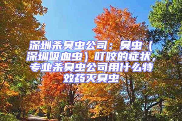 深圳殺臭蟲公司:臭蟲(深圳吸血蟲)叮咬的癥狀,專業殺臭蟲公司用什么特效藥滅臭蟲