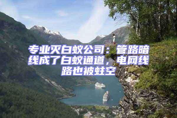 專業(yè)滅白蟻公司:管路暗線成了白蟻通道,電網(wǎng)線路也被蛀空